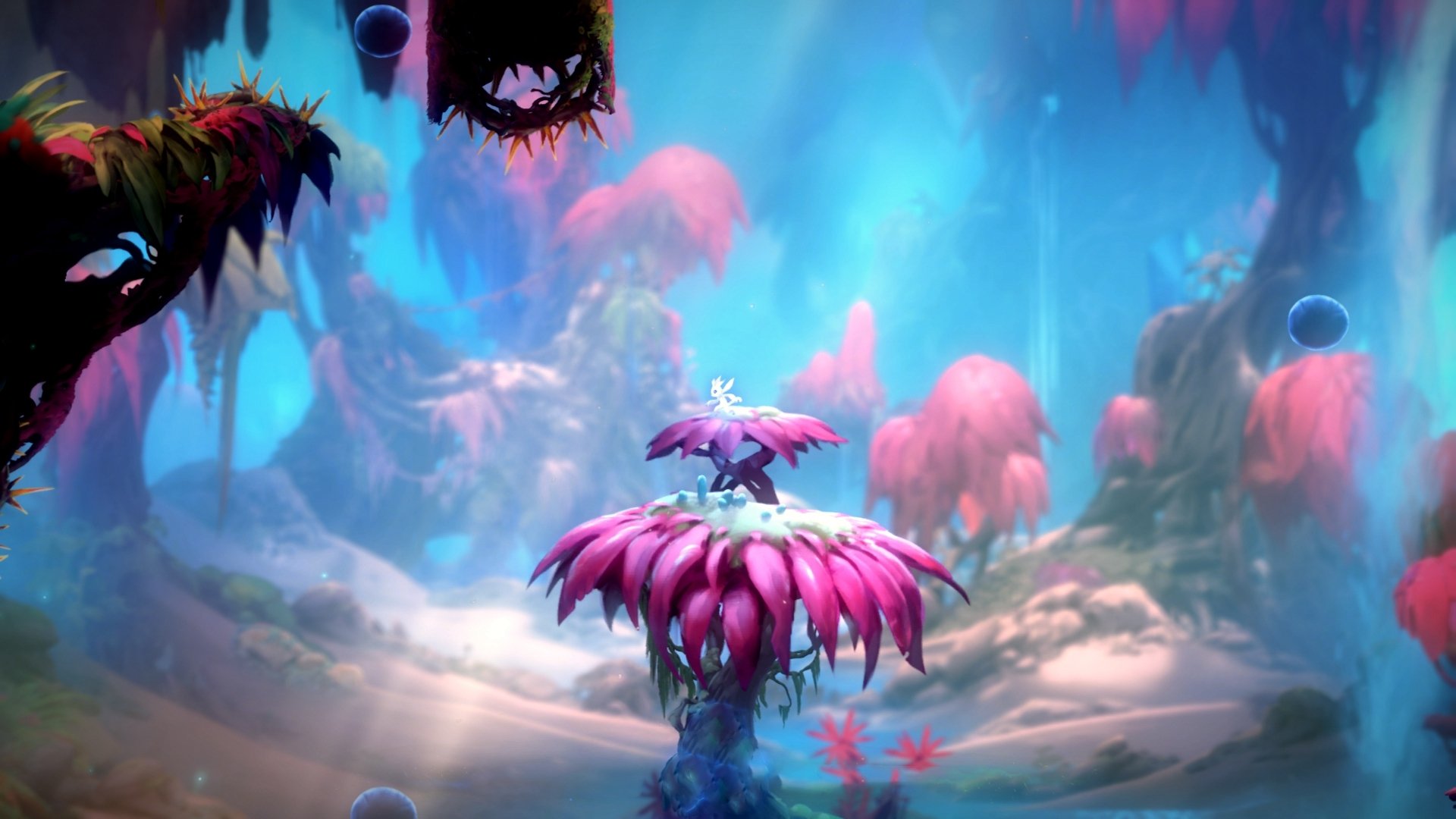 奥运周期关键战之夜，特奥打出统治级数据，一位巨星的诞生