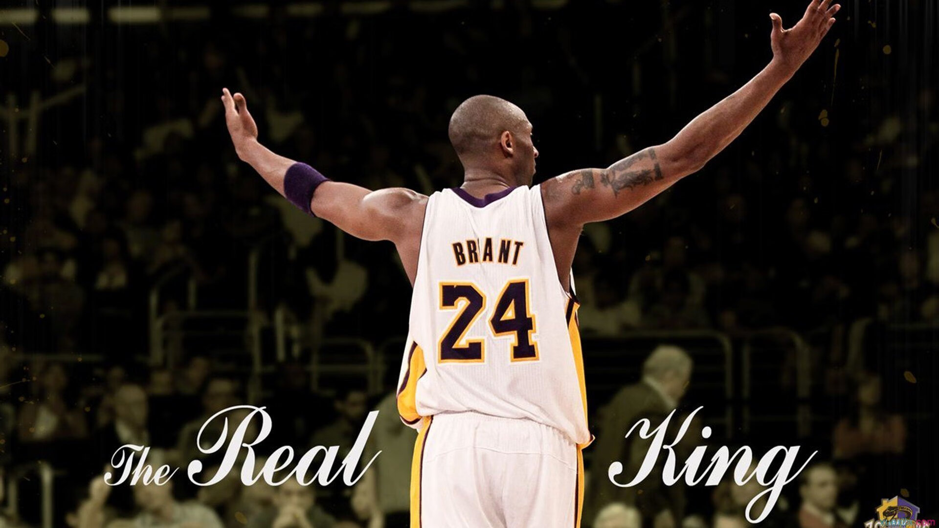 挪威冰川与安联火焰,阿坎吉在拜仁之夜的重生